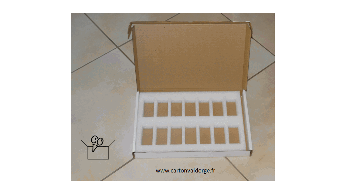 Coffret avec de la mousse pour des Leds  